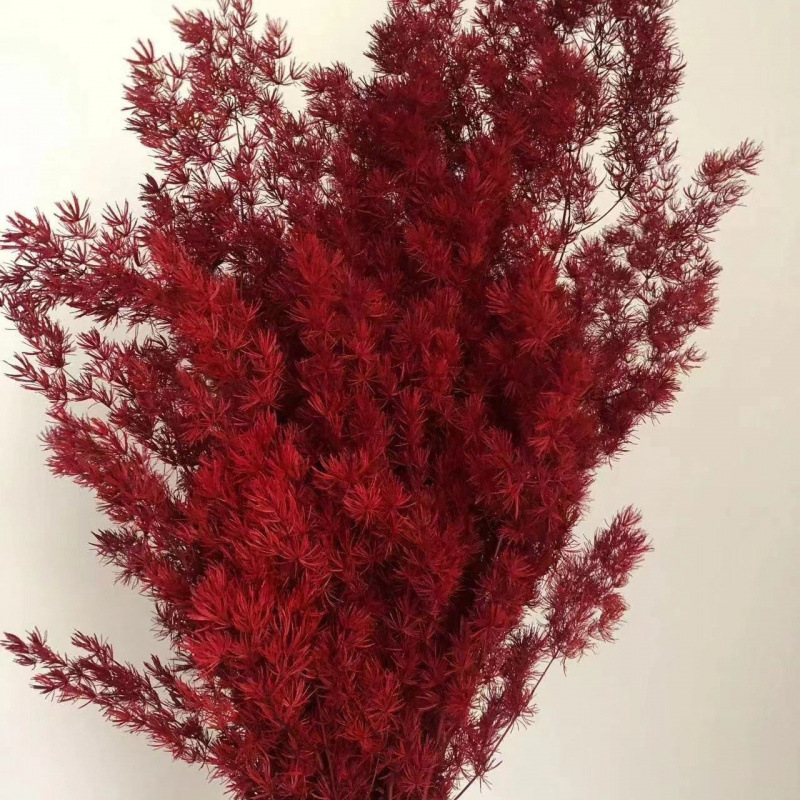 버건디(85-105g)-드라이플라워백