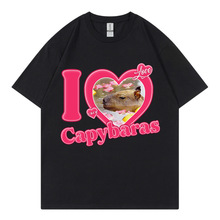 RdWI Love CapybarasӡʿTŮʿT