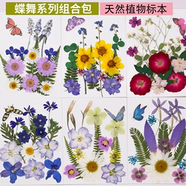 干花;贺卡;相框、画框