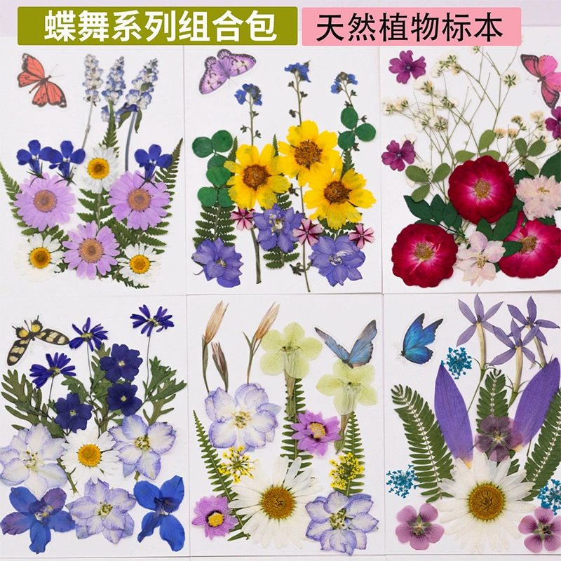 Трансграничный специально для сушеных цветов сумка с тиснением оптом Цветочная Закладка клей Чехол для мобильного телефона ручной работы DIY Макияж лица