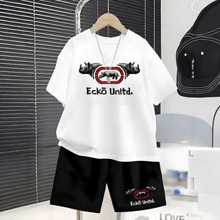 �羳��ͯ�ļ����b����EckoϬţӡ���W��͸������ѝ���e�ɼ���