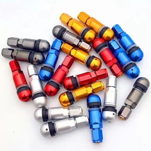 Automobile vacuum tire valve trolley aluminum alloy stainless steel valve