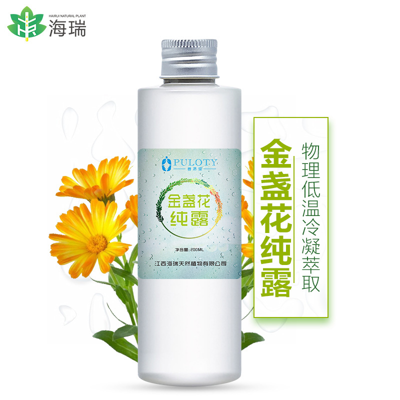 【厂家供应】 金盏菊纯露   金盏花提取物原液批发