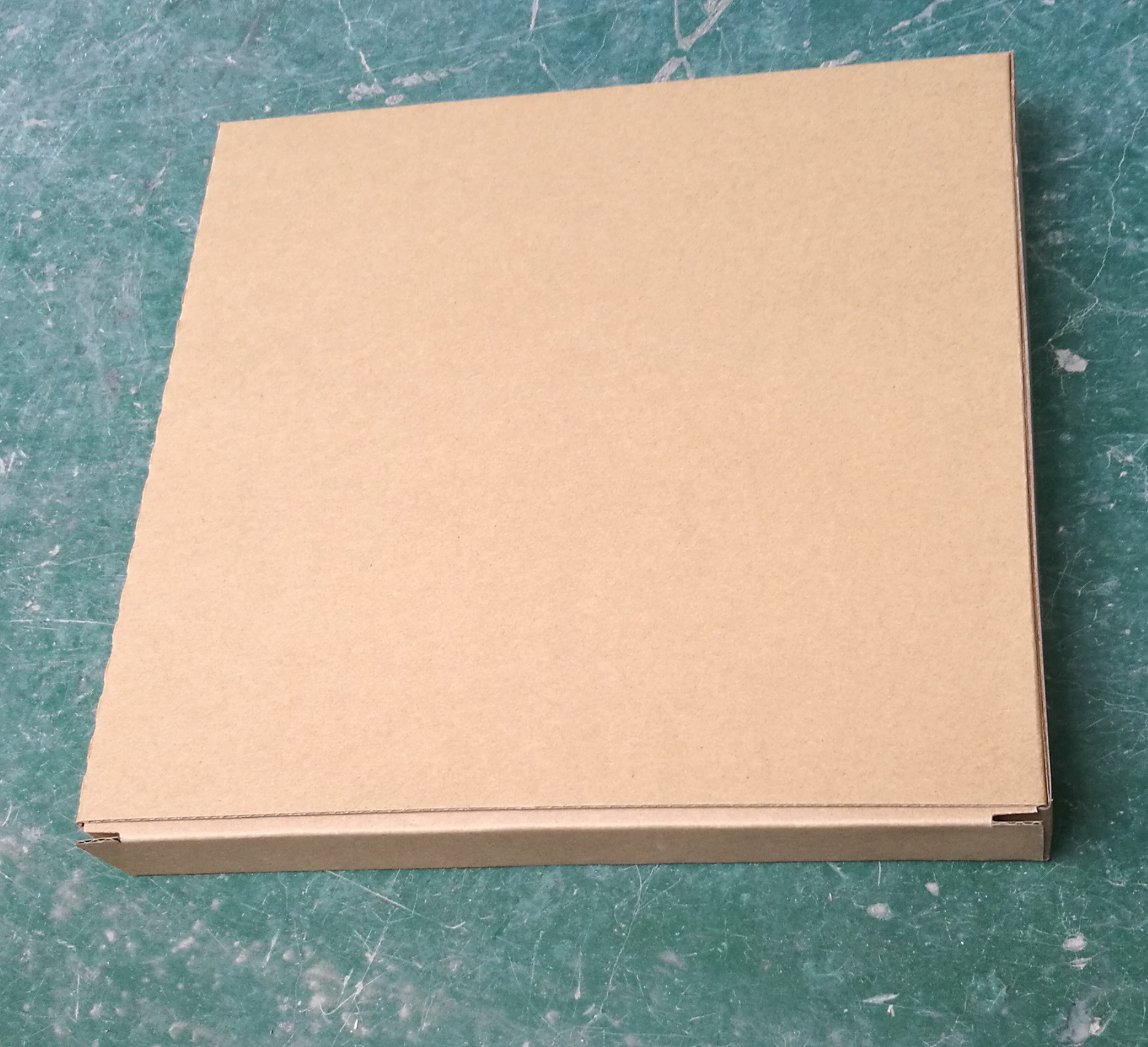 TH9250P-25CM��ʪ�ȼƣ�������ŷ�̰�������壩