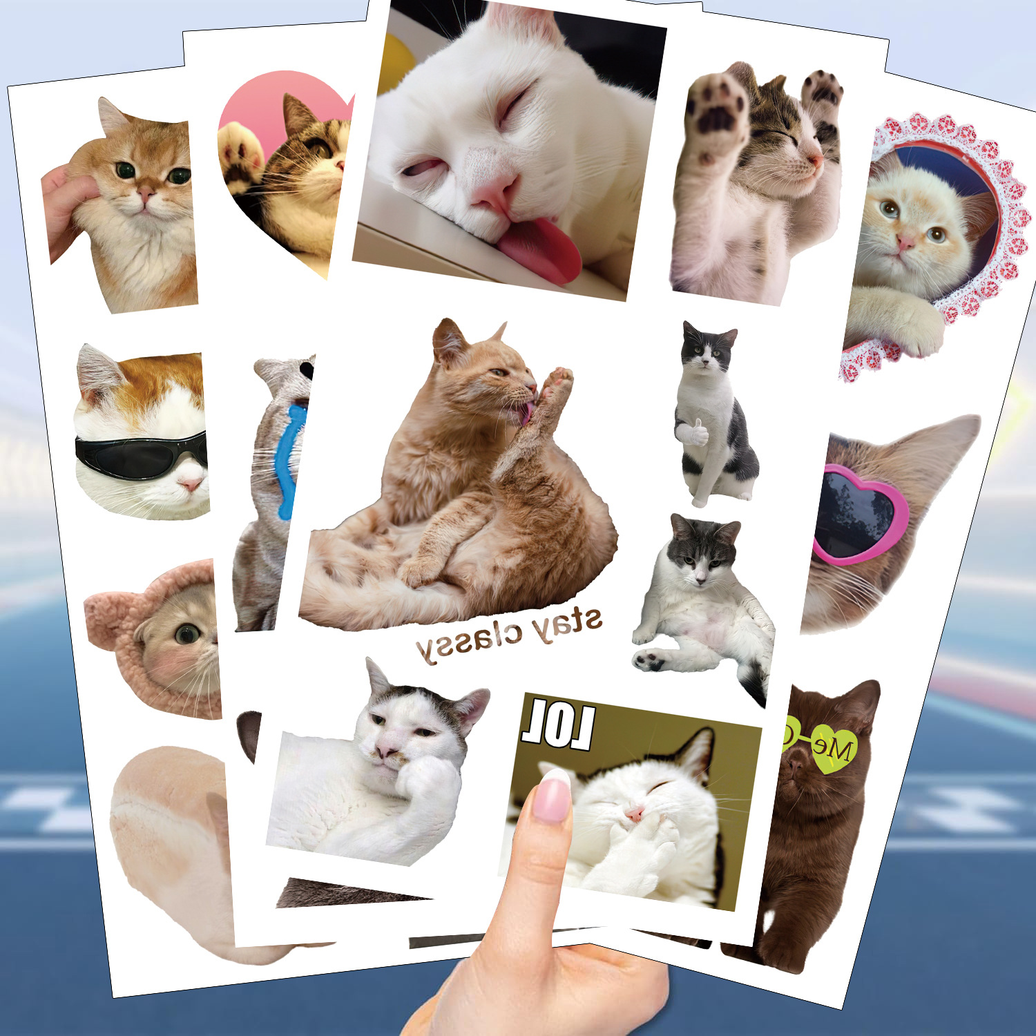 18g Weight tattoo stickers Event & Party Supplies 10 PCS/Package Quantity Holiday, Party Occasion Transfer decal Material Cat Pattern Cat Transfer Decal Tattoos & Body Art 10 PCS/Package 5