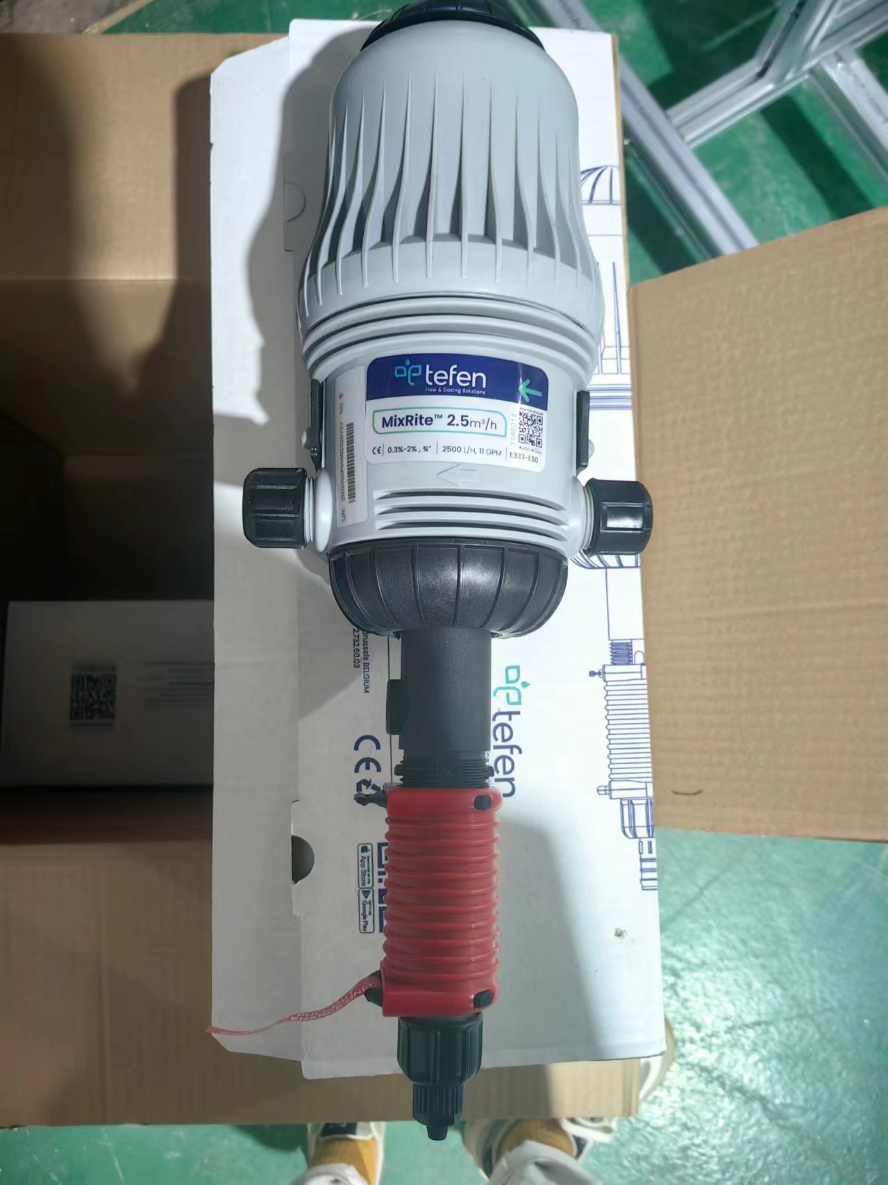 이스라엘 도저(0.3-2)