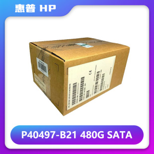 Applicable to HPE HP server accessories memory power network card p40497-b 21 480G SATA
