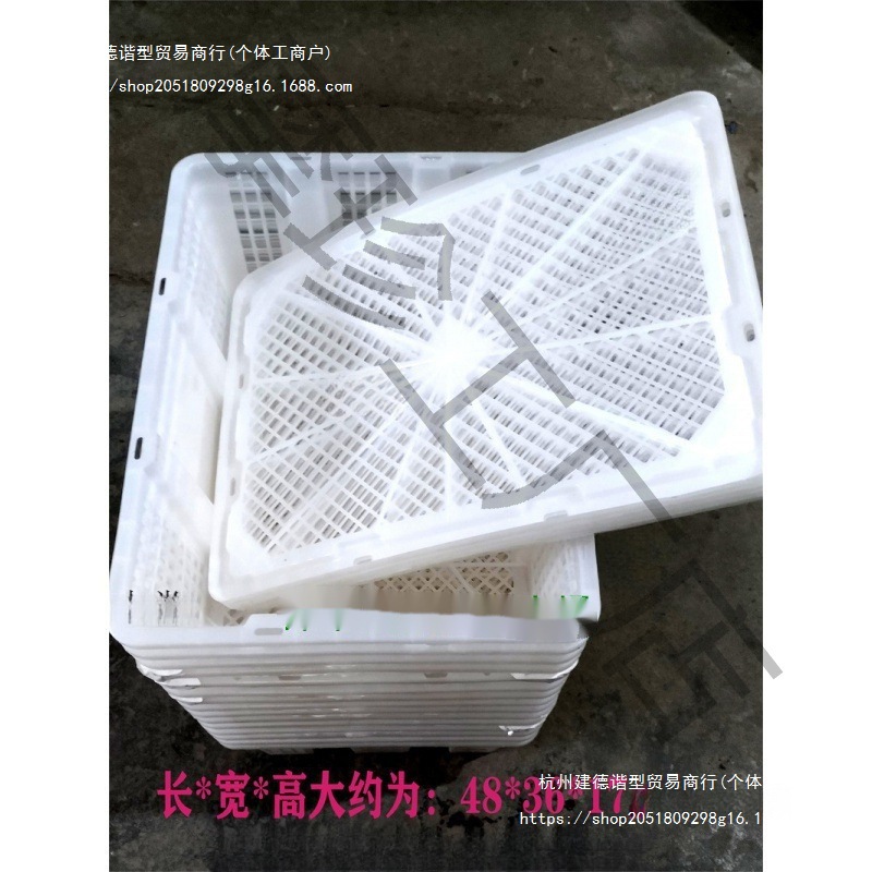 二手莓采摘框桑葚一次性塑料框运输筐龙眼鸽子鸡宠物快递