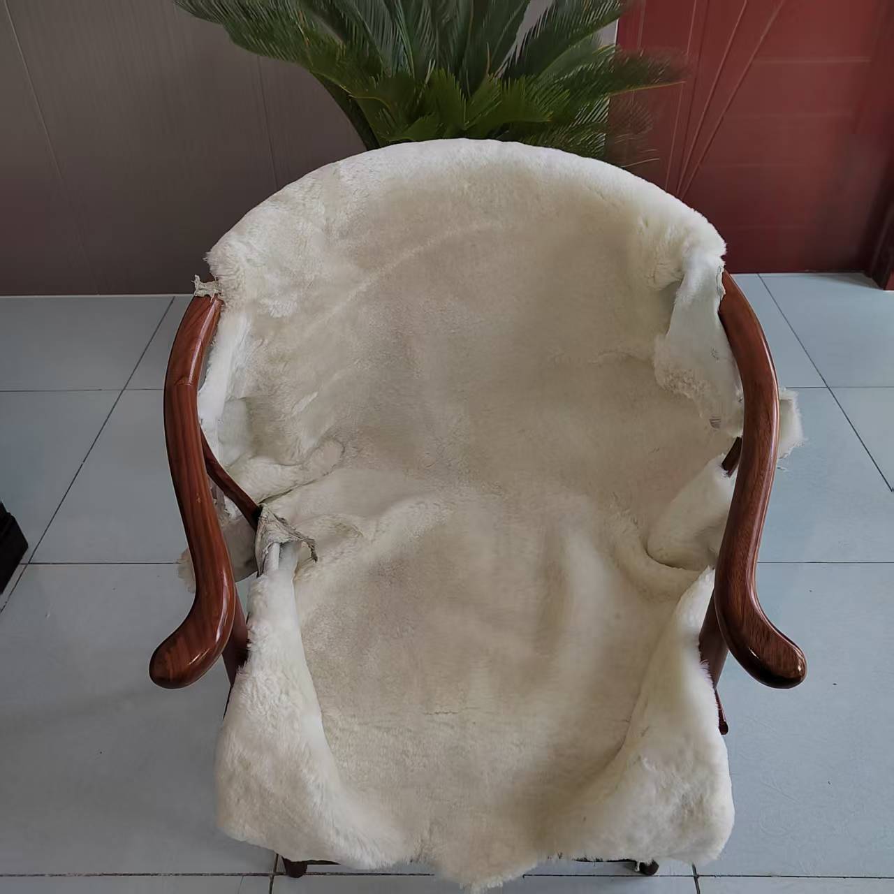 微信图片_20250608163616