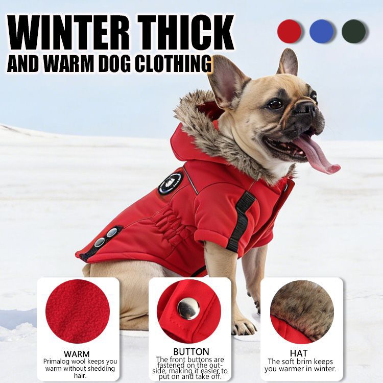 Veste chaude d'automne et d'hiver pour chien, fermeture éclair, coupe-vent, harnais de poitrine réfléchissant, vêtements pour animaux de compagnie pour chiens de petite et moyenne taille_voghion.com