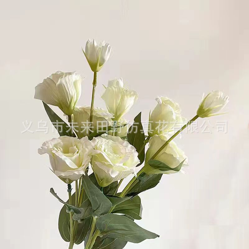 샴페인