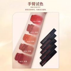 Wholesale official website Carmela Mud Lip Velvet Women's Matte Lipstick K02 Cinnamon 4 Lip Glaze Makeup Lip Gloss Lip Gloss for Students