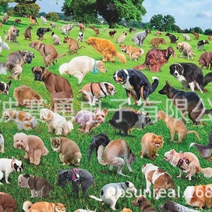 101 pooping puppies 101 dog poop puzzle 1000 piece flat puzzle puzzle decompression