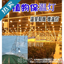 �»��܄�ֲ��̫ꖹⱣ�ؾGֲ�߲˟�������Ҽt�⾀��ȡů���؟�