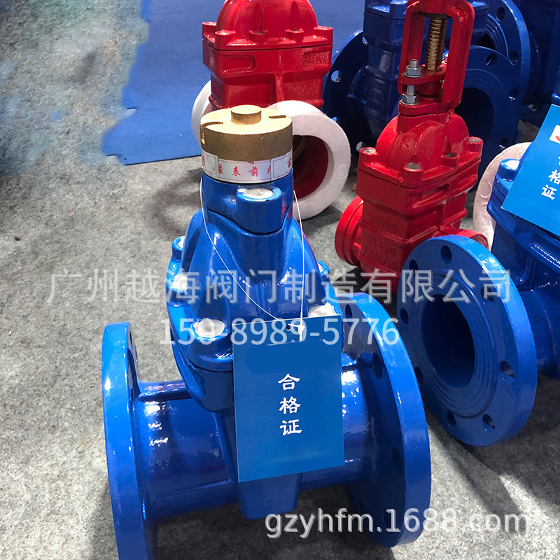 供应FDZ45x 防盗闸阀 锁闭软密封闸阀 加密闸阀球墨铸铁法兰闸阀