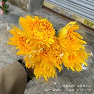 ȫ�깩�� �V���r�оջ����l �S�������S��������������û����»�