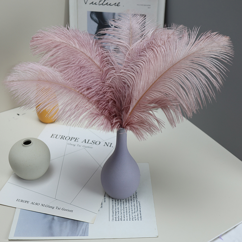 Plumas de avestruz bodas blancas de avestruz guía de plumas accesorios de fotos adornos rojo rosado en línea grandes plumas decoración
