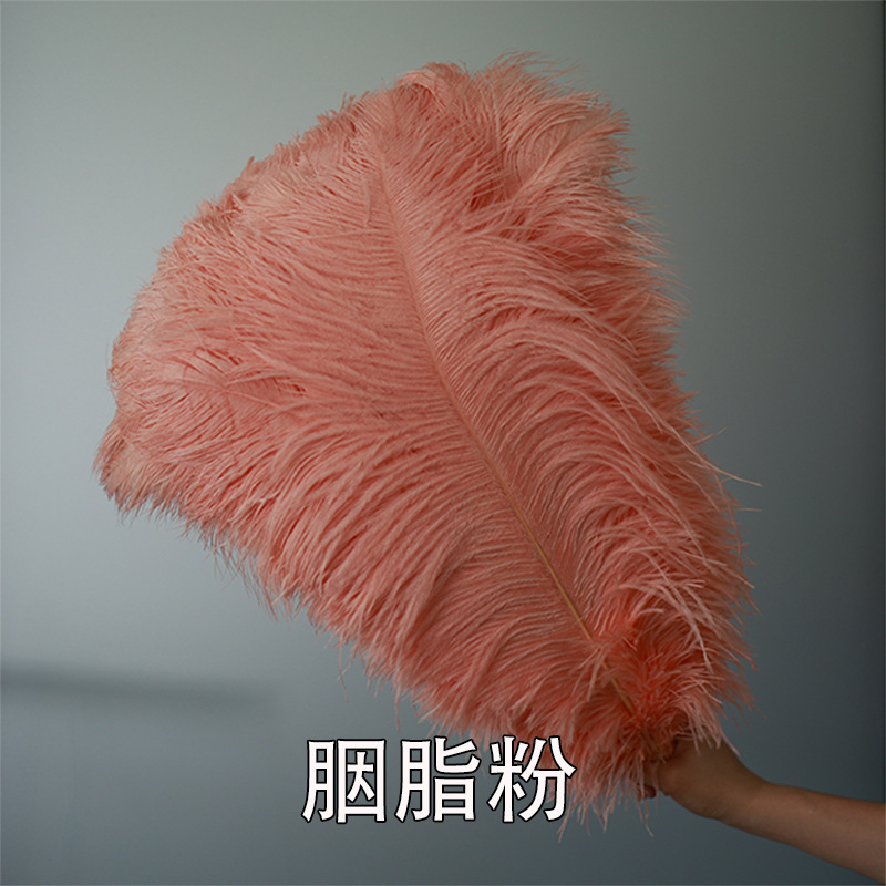 Fabricantes de pelaje de avestruz 50 - 55CM boda guía de la mesa flor de plumas de avestruz adornos de red pared roja plumas de espectáculo de escenario image 34