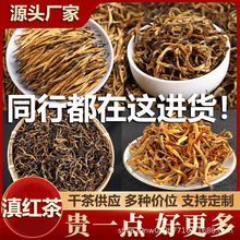 滇红茶大金针古树红茶茶叶散装 云南凤庆金丝大金芽 可定制礼盒装