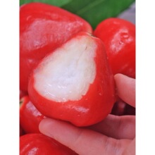 ���ϼt��ʯɏ�Fˮ��5�ﮔ�����rˮ���ش���Fɏ�ڽ����B�F������3