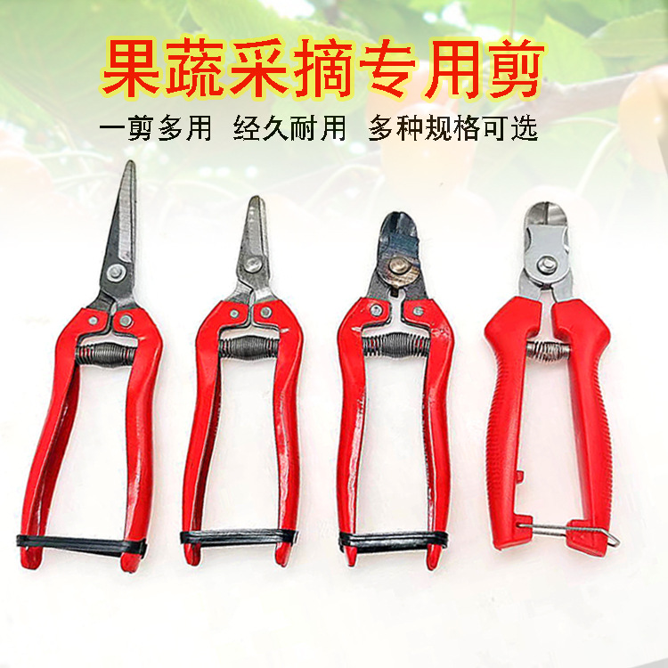 摘果神器采摘柑橘采果剪园林修花不锈钢窝型苹果剪果把剪刀摘果剪