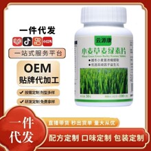小麦草麦绿素片补充膳食纤维与活性成分助力身体轻排源头厂家批发