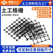 土工格栅厂家 路基塑料土工格栅支护网 矿用双向拉伸塑料土工格栅