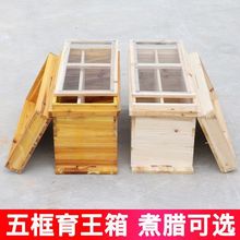 广式1.1厚5框蜂箱全套一整套标准蜜蜂箱五框中蜂育王峰箱养蜂工具