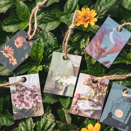 Mojing 100 mini note cards, small collection of books III spring, summer, autumn and winter series, 8 types of collage material message paper