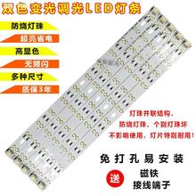 led�����L���l �o�p�������pɫ׃���{���Դ������Q�͏d��픟�о