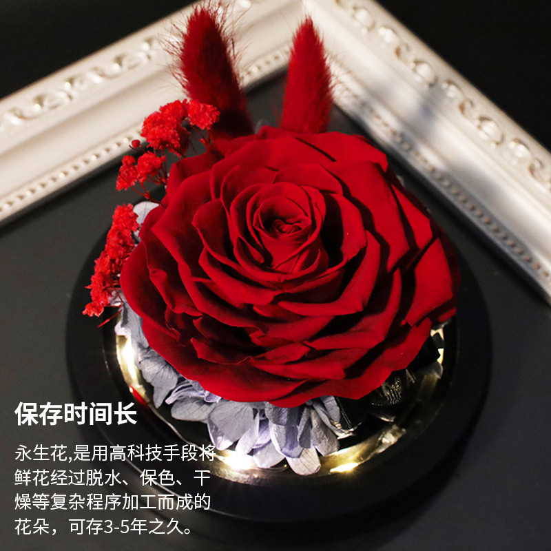 亞馬遜玻璃燈罩永生玫瑰花愛心玻璃罩保鮮花創意情人節禮品跨境