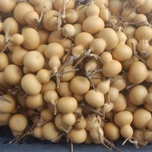 �Nֲ����   ���J���¼ܴ������l   �������J���x���큆����Ƥ���x