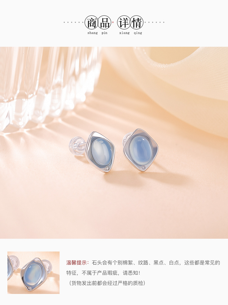Bông tai bạc 925 hình tròn đơn giản, thanh lịch — Cặp đôi chi tiết 4