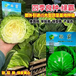 �G�����{�N�Ӹ߮a�s���ﲥ�̨�߲˷N�ӈA���ļ������＾���˷N��