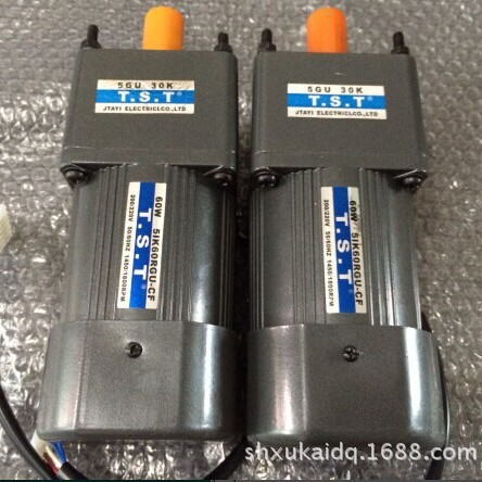 TST电机TST马达TST调速器5IK60RGN-CF  5GU40KB