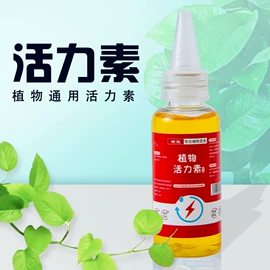 衣钩/挂钩;插座配件;清洁球/刷