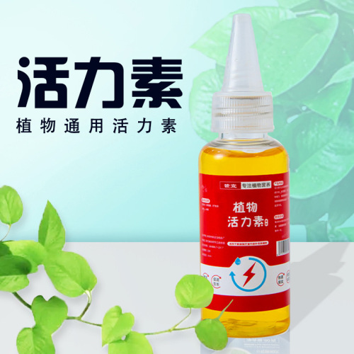 Plant Vitality Pot Plant Gardening Vitality Natural Nutrient Solution Plant General Type Root Promoting Flowering Fairy Water