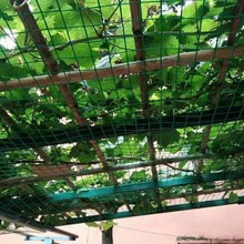铁丝网圈地护栏网隔离网家用养殖鸡鸭网荷兰网防鼠网窗户防护网硬
