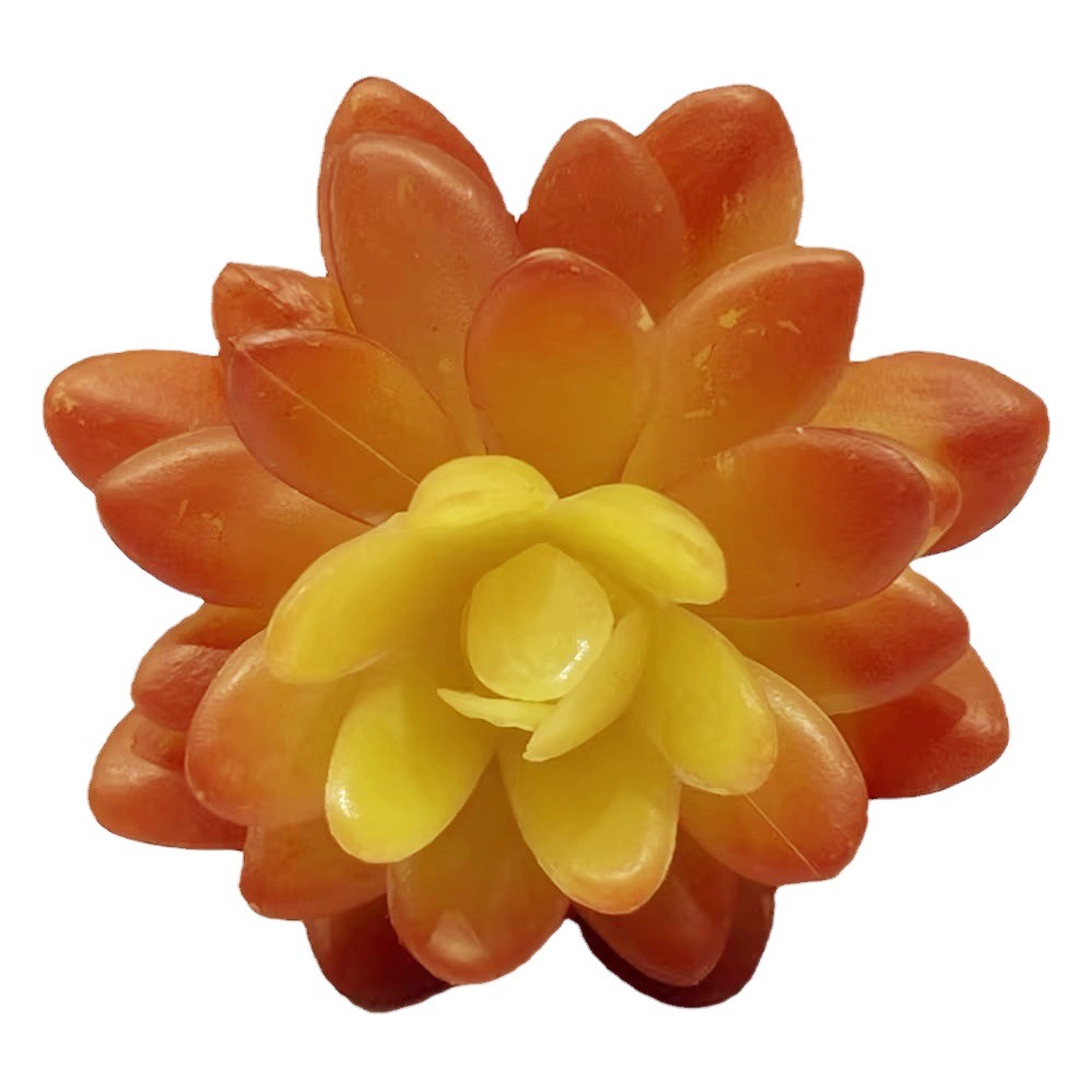 Marco decorativo Planta nórdica colgante de pared decoración de pared colgante de pared tridimensional pared de fondo de planta verde pared cabeza de ciervo simulación suculento planta verde