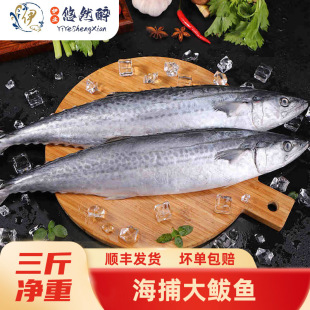 �R�o�~���r����ش��E�~Ұ����β�~�o���������l�L�l��̖����