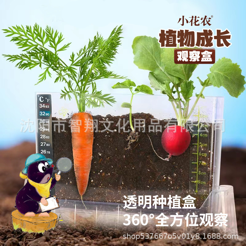 DIY植物发芽盆栽批发儿童益智早教玩具礼物 小花农种植园