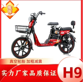 其他电动车;骑行头盔;电动代步车