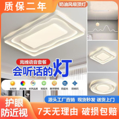 メーカー卸売り全スペクトル保護ledクリーム風天井灯高級感客間ヘッドライト寝室セット