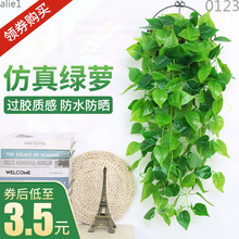 ֲ���ٗl�����b��҃ȱڒ컨�ٴ����͏d�G�}�Gֲ�ٻ����m����