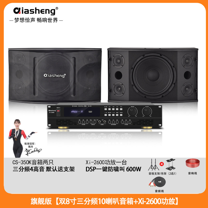 QIASHENG 家庭KTV音响套装卡拉OK点歌机专业音箱全套K歌影院设备|undefined