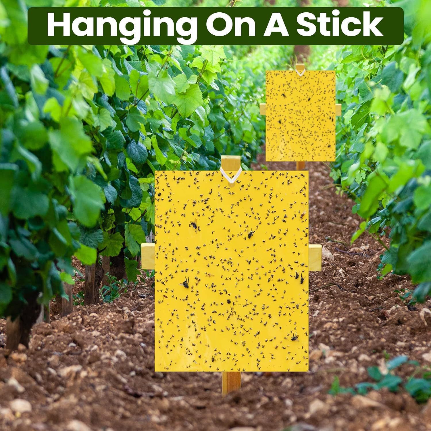 81CsmYxLeZL._AC_SL1500_