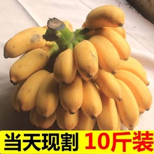 �Fժ�V��С�׽��������rˮ���Ž��O������Ȼ���㽶����5/10����]