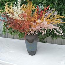 �����Fڡ·߅�� ��Y�쾰���滨�������廨 �͏d�����b�