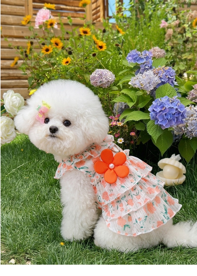 Robe plissée à fleurs style princesse pour chien et chat été_voghion.com