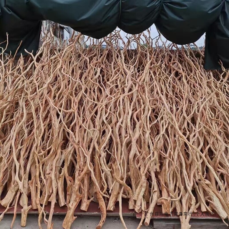 Selected Rhododendron Roots, Sunken Wood, Thick and Thin Branches, Aquatic Plant Framework, Fish Tank Landscaping Package